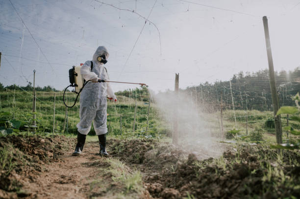 Best Pest Prevention Services  in Monmouth, OR
