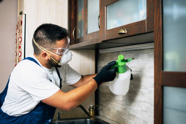 Professional Pest Control in Monmouth, OR