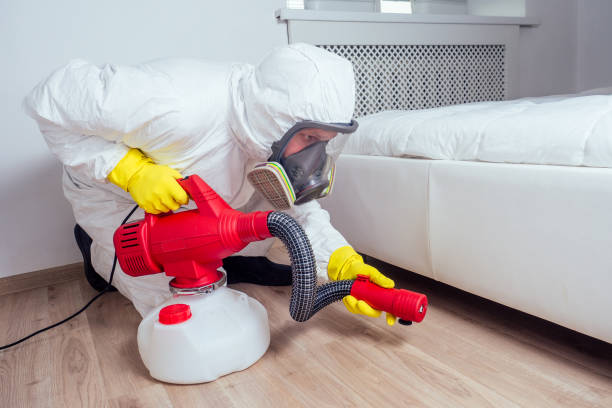 Best Rat Extermination Near Me  in Monmouth, OR