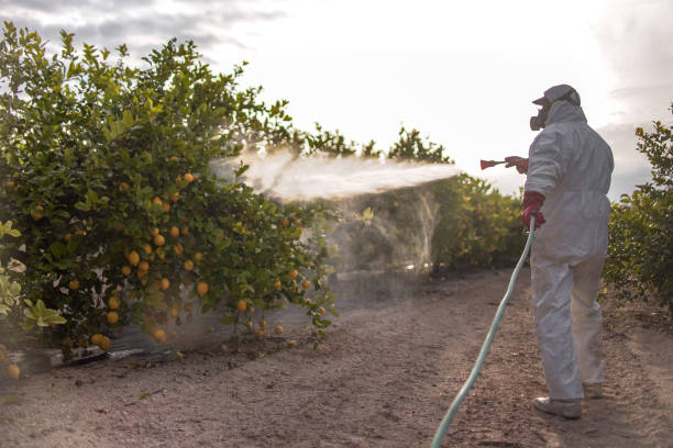 Best Bed Bug Extermination  in Monmouth, OR