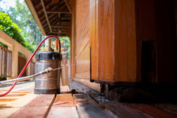 Best Emergency Pest Control  in Monmouth, OR