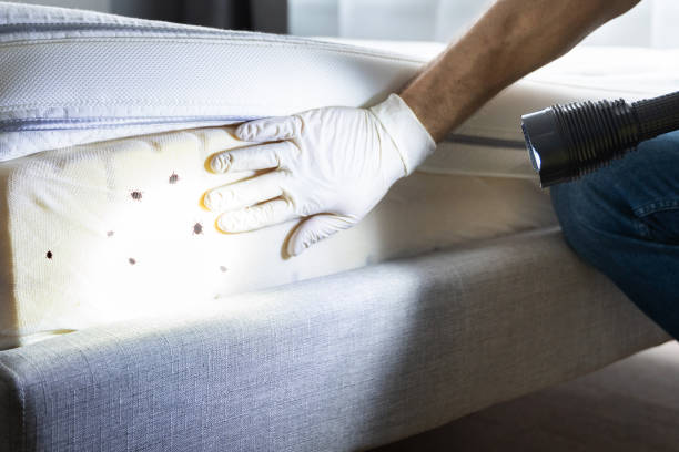 Best Rat Extermination Near Me  in Monmouth, OR